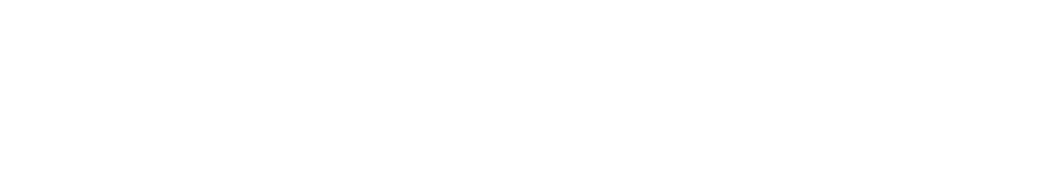 Smart Consulting